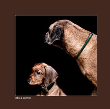 toby & carmel